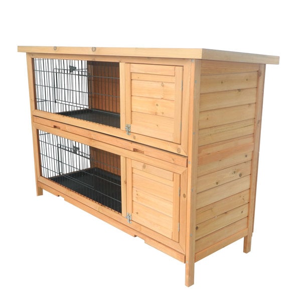 hutch for 2 guinea pigs