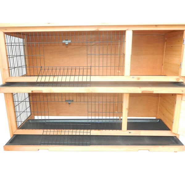 hutch for 2 guinea pigs
