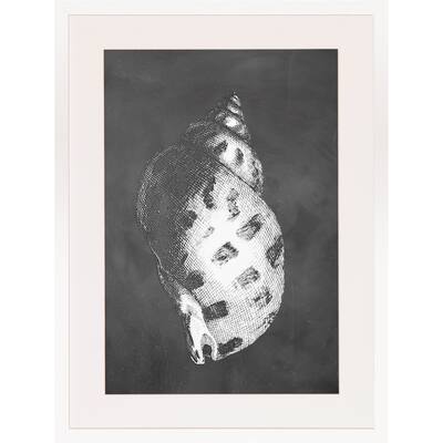 Art Virtuoso 'Slate Shell Impressions' Glossy White Wood Framed Art ...