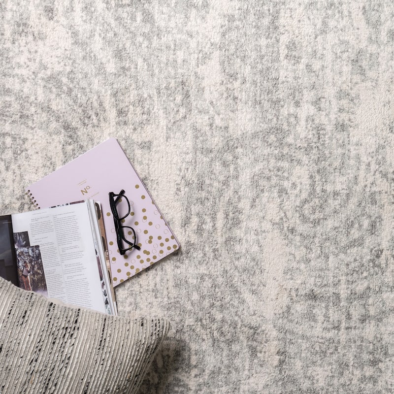 Alexander Home Verona Paisley Transitional Rug