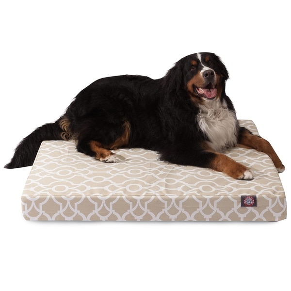 Bed bath and 2024 beyond orthopedic dog bed