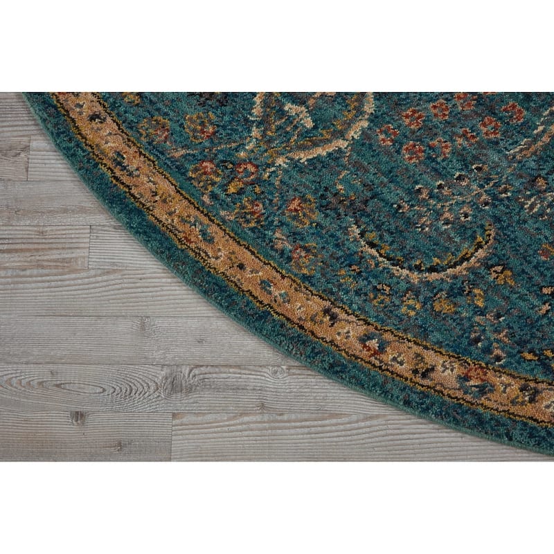 Nourison 2020 Traditional Floral Medallion Persian Pattern Area Rug