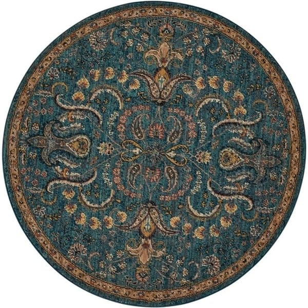 Nourison 2020 Traditional Floral Medallion Persian Pattern Area Rug