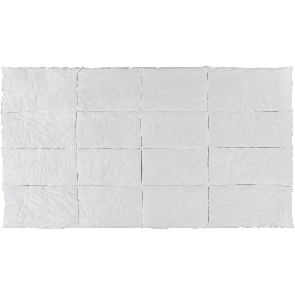 Asnee Polyester Filled Throw Pillow Insert