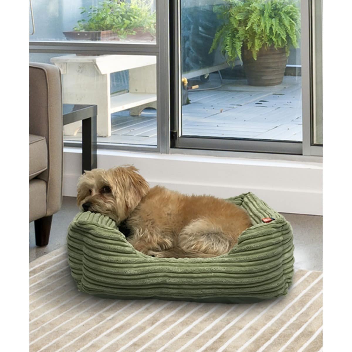 jumbo cord dog bed