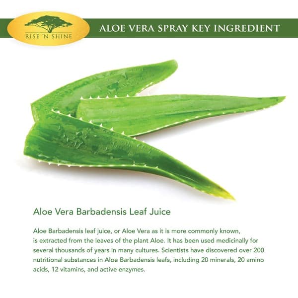 Shop Rise N Shine 16 Oz Organic Aloe Vera Spray Provides Relief