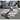 Brown White Black 100-percent Argentinean Cow Hide Area Rug - 5' x 7'