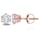 Option Rose