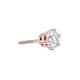 Option Rose