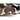 Premium Brown/Black/White 100-percent All-natural Argentinean Cow Hide Rug - 5' x 7'