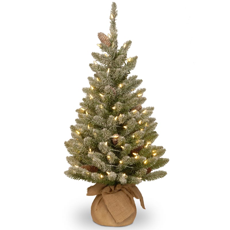 National Tree Company 3 ft. Snowy Concolor Fir Artifical Tree with 50 Battery-operated LED Lights - 3 Foot