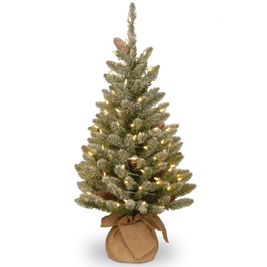 National Tree Company 3 ft. Snowy Concolor Fir Artifical Tree with 50 Battery-operated LED Lights - 3 Foot
