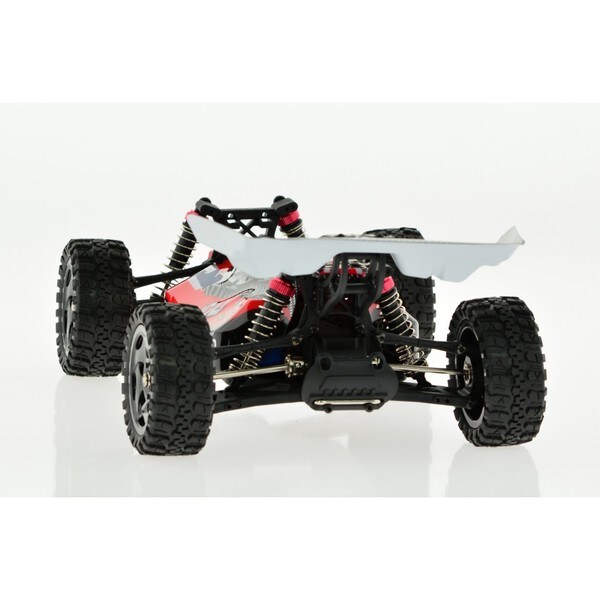 dingo rc car