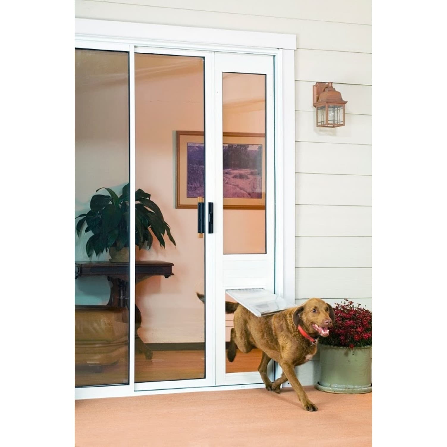 automatic dog door sliding glass
