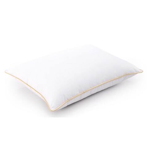 Cheer Collection 14x19-inch Hypoallergenic Toddler Pillow