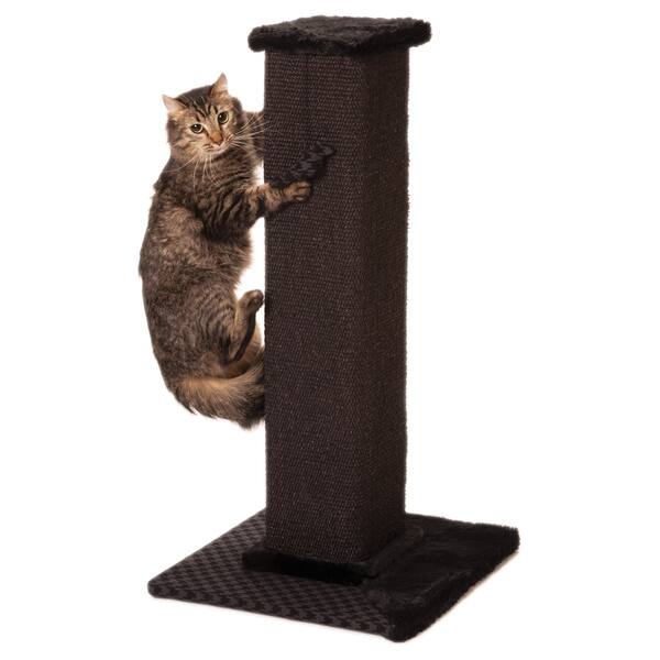 Max & Marlow 32-Inch Cat Scratching Post - Bed Bath & Beyond - 12709002