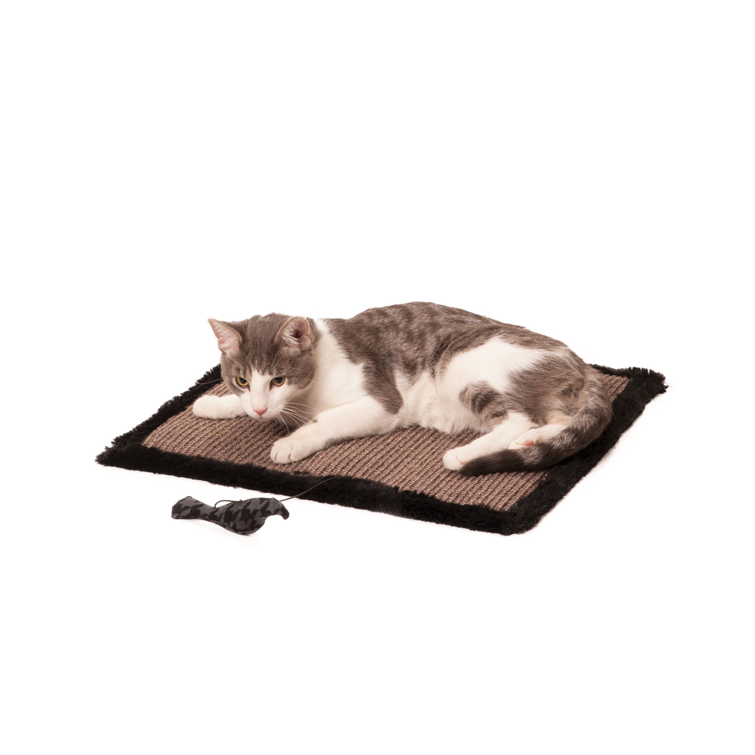 cat scratcher mat