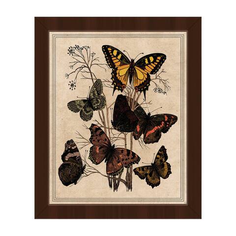 'Butterfly Drawing' Multicolored Framed Canvas Wall Art