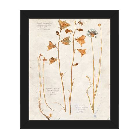'Dry Wildflowers' Framed Canvas Wall Art