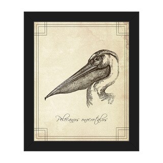 'Pelecanus Onocrotalus' Framed Canvas Wall Art - Bed Bath & Beyond ...