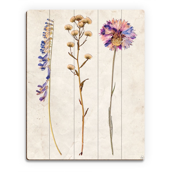 '3 Dry Flowers' VP Wood Wall Art