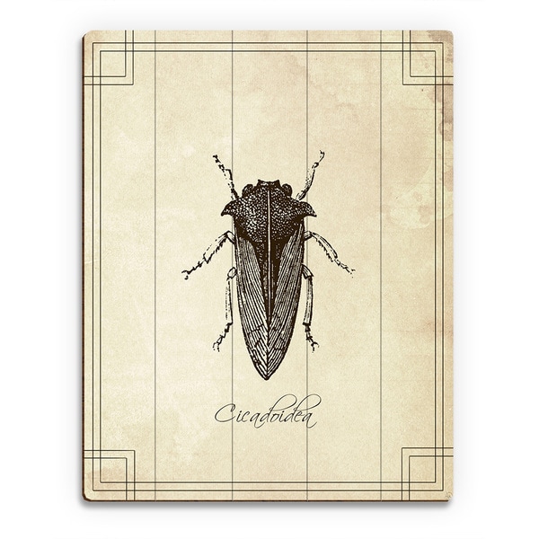 'Parchment Cicadoidea' Wood Wall Art