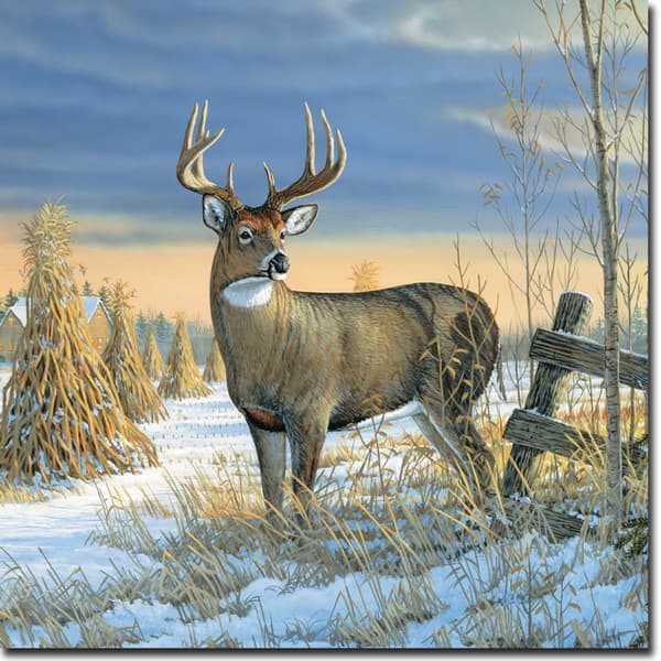 Whitetail Deer Hunting – Diamond Paintings