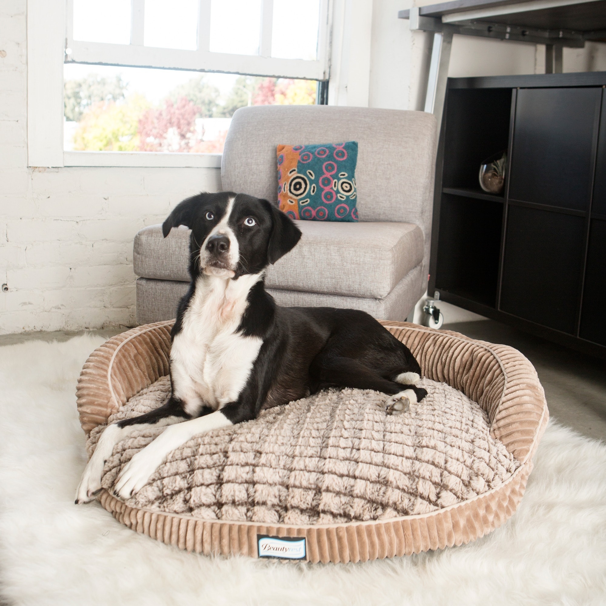 Simmons Beautyrest Ortho Sleep Memory Foam Orthopedic Dog Bed