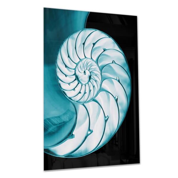 Shop Chambered Nautilus Shell Abstract Art Glossy Metal Wall Art Overstock