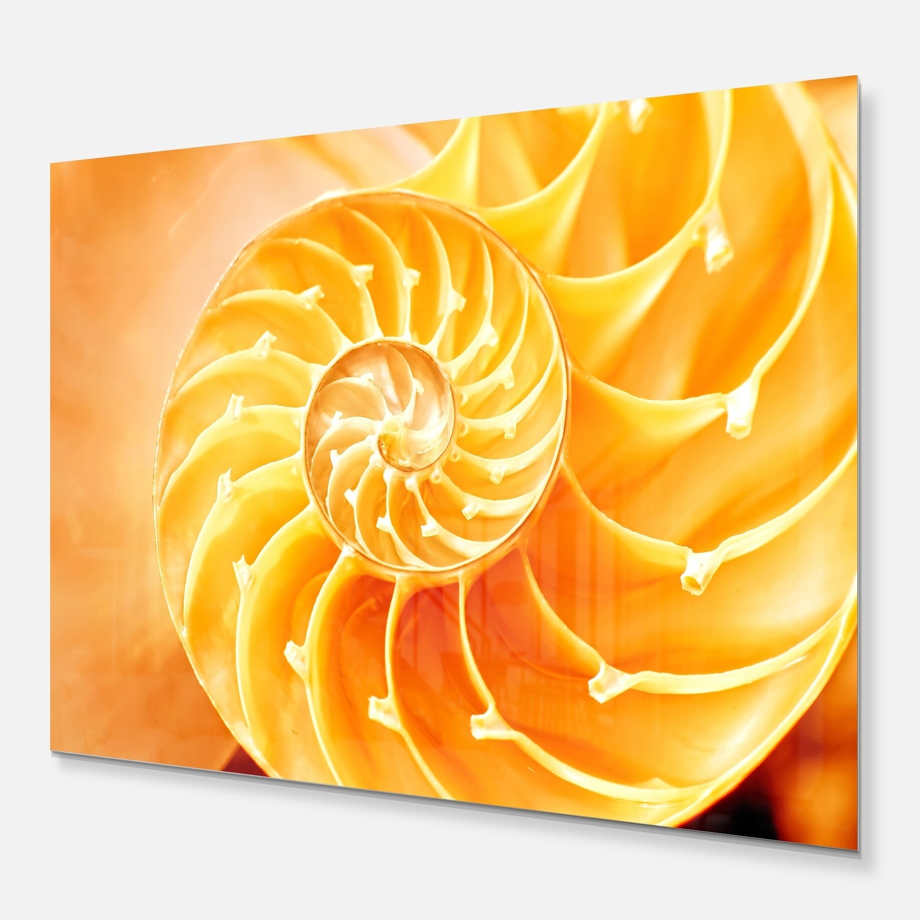 Yellow Nautilus Shell Abstract Art Glossy Metal Wall Art Overstock