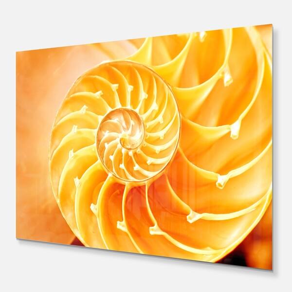 Yellow Nautilus Shell Abstract Art Glossy Metal Wall Art