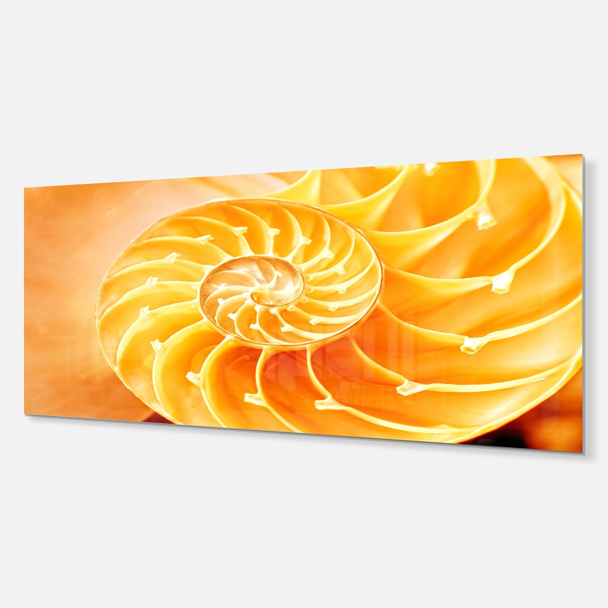 Yellow Nautilus Shell Abstract Art Glossy Metal Wall Art