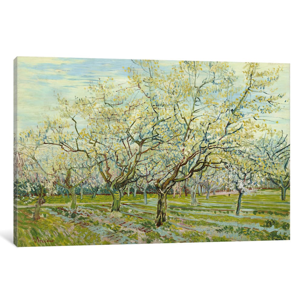 iCanvas The White Orchard by Vincent van Gogh Canvas Print