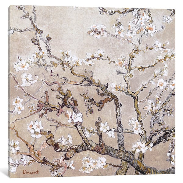 Icanvas Almond Branches In Bloom San Remy C 10 Tan By Vincent Van Gogh Canvas Print Overstock Icanvas Almond Branches In Bloom San Remy C 10 Tan By Vincent Van Gogh Canvas Print Overstock
