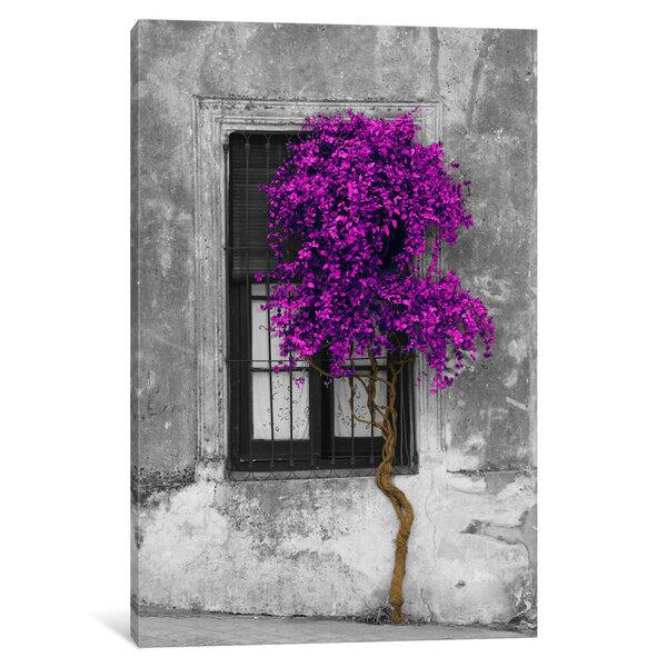 Shop Silver Orchid Tree In Front Of Window Purple Pop Color Pop By Panoramic Images Canvas Print On Sale Overstock 20370459