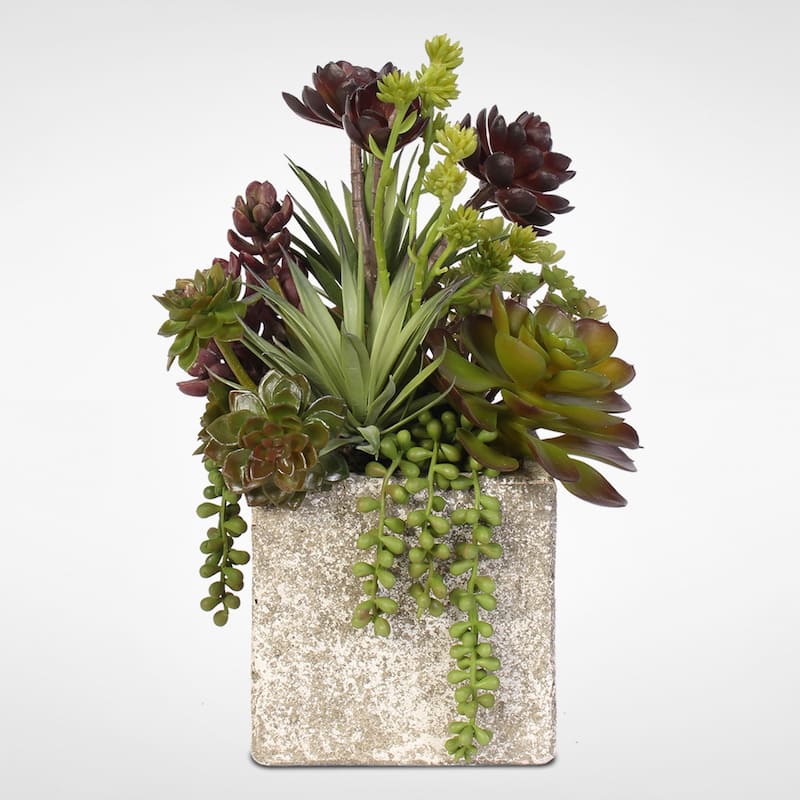 Succulent, Hen, and Chicks Coastal Cottage Arrangement in Stone Pot