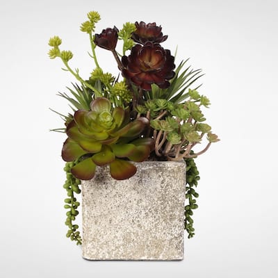 Succulent, Hen, and Chicks Coastal Cottage Arrangement in Stone Pot