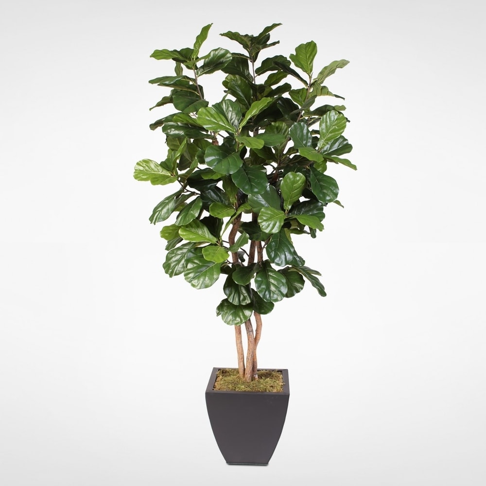 Green Faux Foliage Sweetheart Artificial Plant with Realistic Leaves and  Black Plastic Pot - 21 x 17 x 17 - On Sale - Bed Bath & Beyond - 32730053