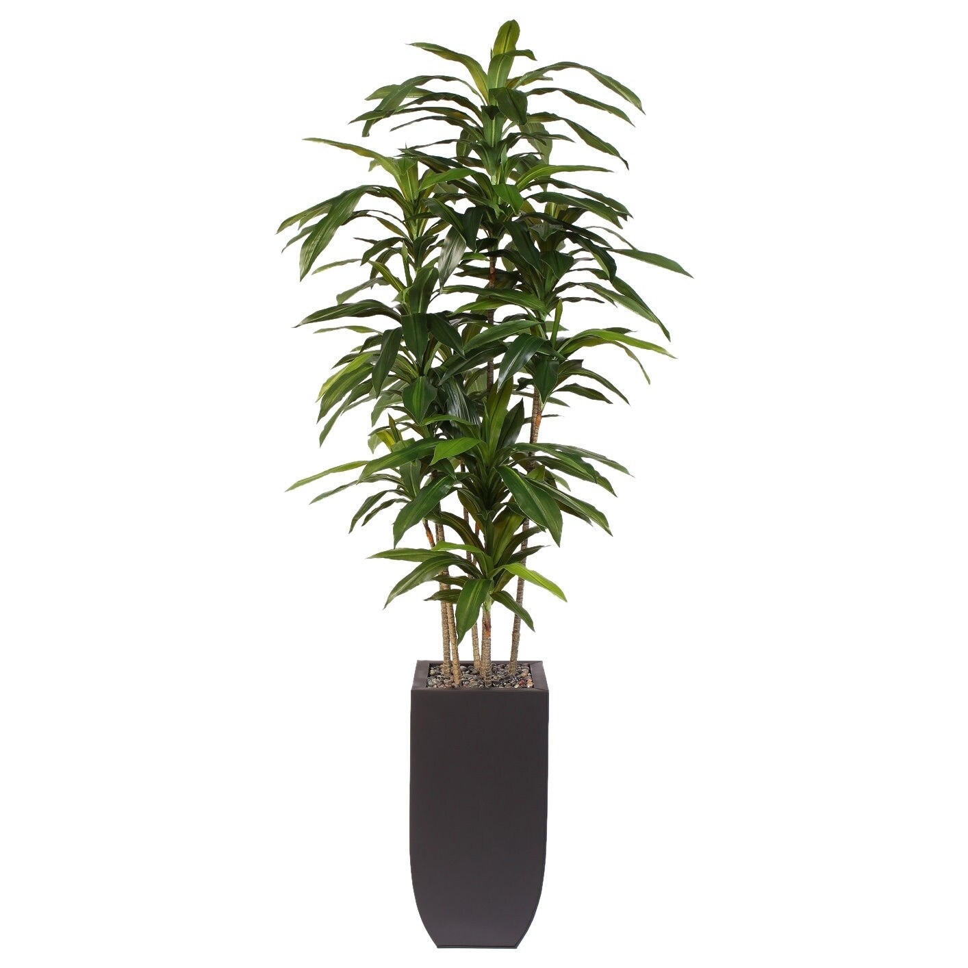 Artificial Dracaena Massangeana Dark Brown Metal Potted Plant ...