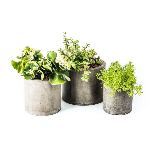 Shop Eco Concrete Portola Planter On Sale Free Shipping