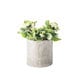 preview thumbnail 3 of 3, Eco-Concrete Portola Planter