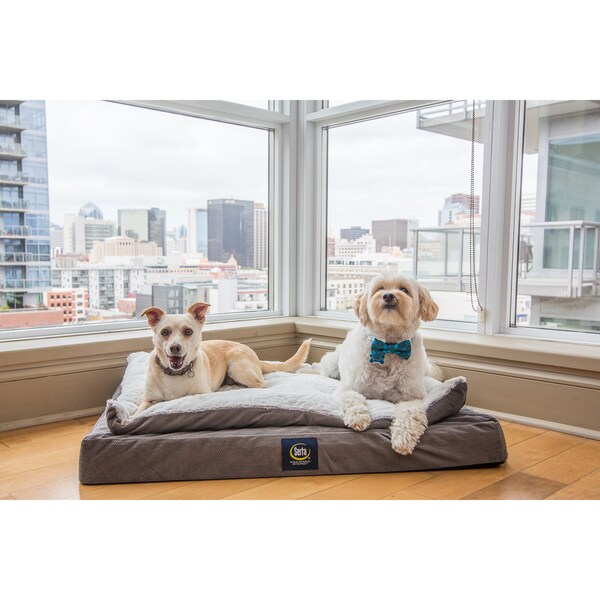 serta indoor outdoor dog bed