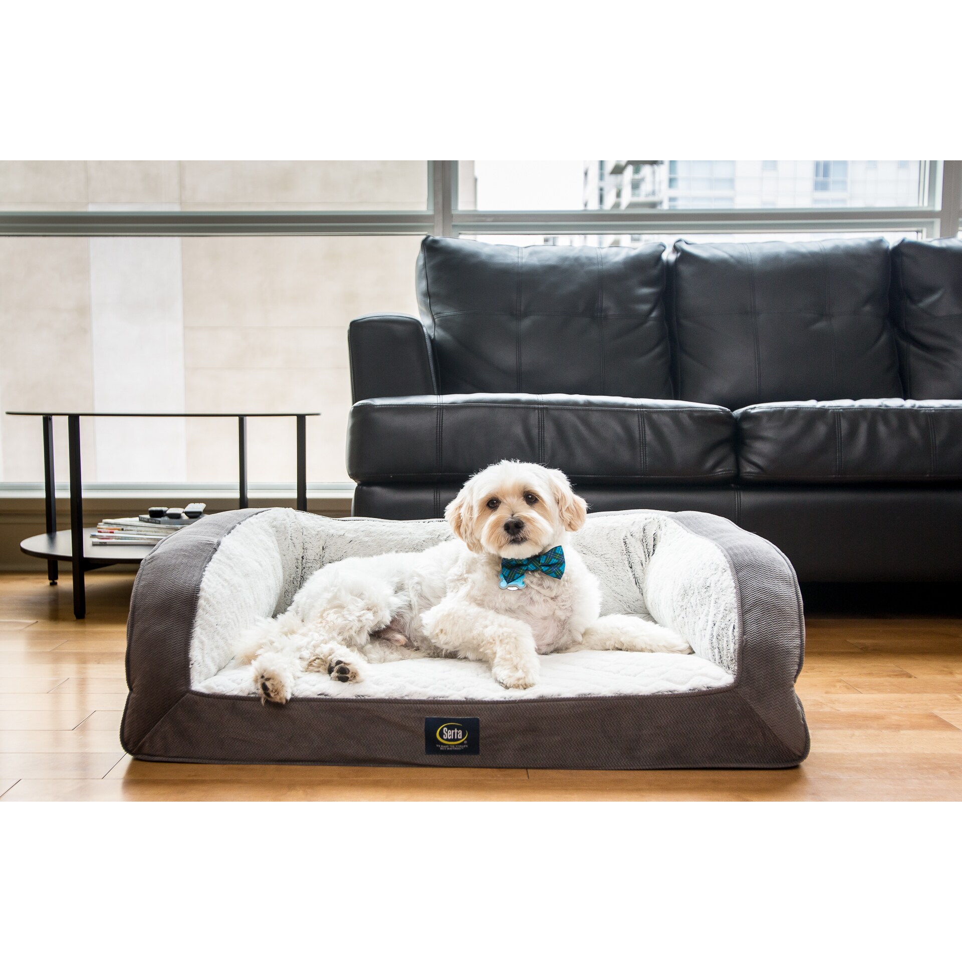 Кроссовки sofa. The Couch для питомцев. Luxurious Design for Dogs. Pet Idle Sofa. Лежак для собак Happy House Blanket Dog Lifestyle терьер/чихуахуа s 61х41х5 см.