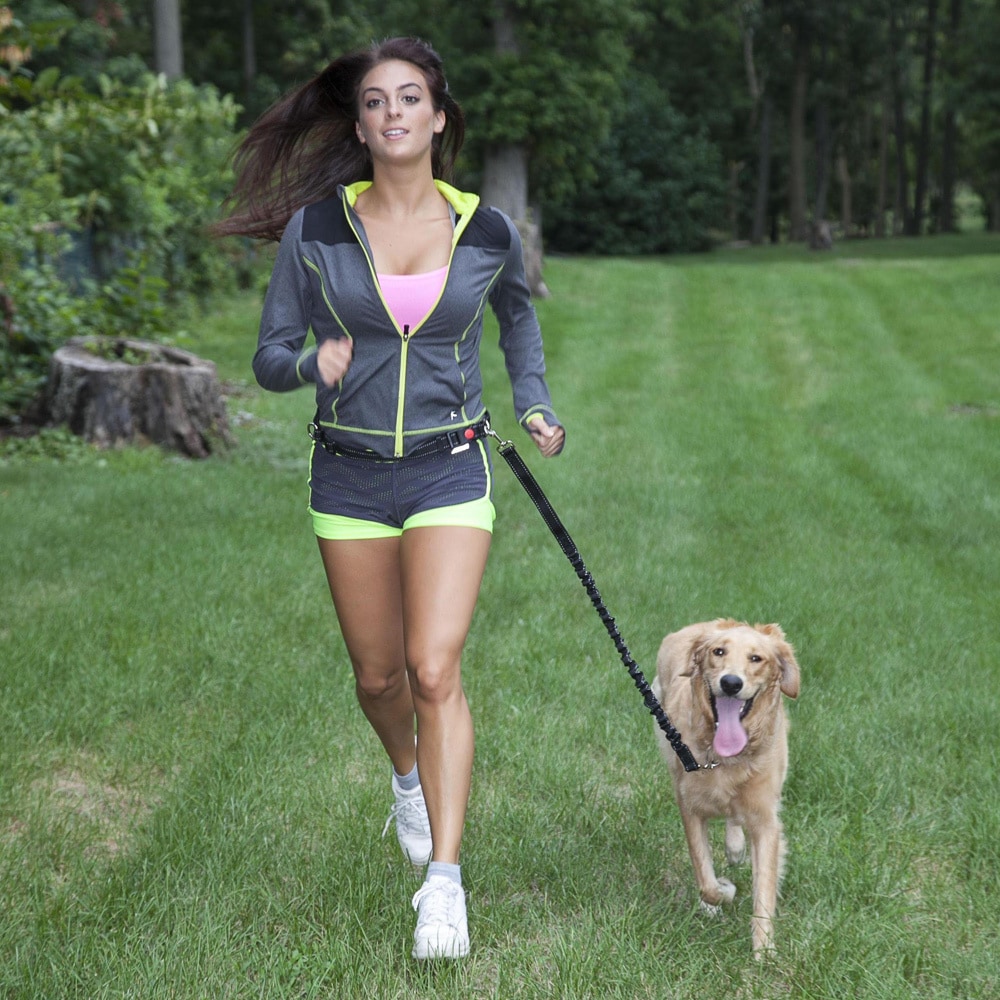waist leash for running with dog