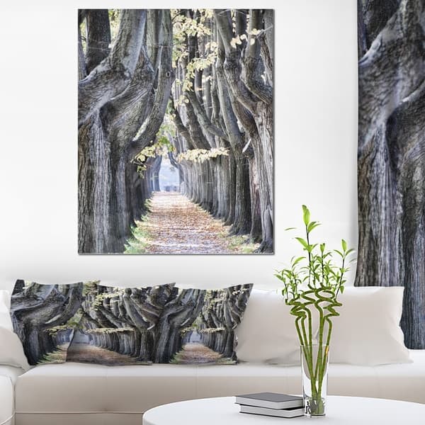 Tree Outside Lucca Italy Landscape Photo Glossy Metal Wall Art Overstock 12779922