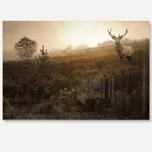 Mist Forest With Red Deer Stag Landscape Photo Glossy Metal Wall Art Overstock 12780327 In a silver chrome effect finish. design art
