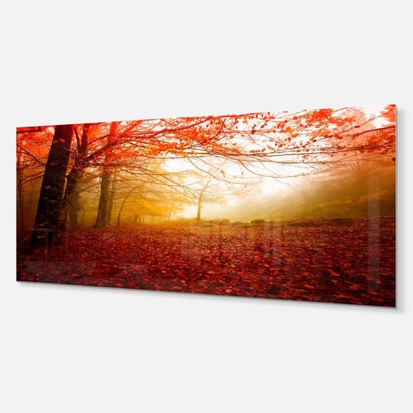 Yellow Sun Rays In Red Forest Landscape Photo Glossy Metal Wall Art On Sale Overstock 12780365