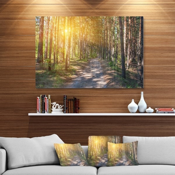 Thick Forest with Yellow Sun Rays - Landscape Photo Glossy Metal Wall ...