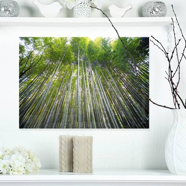 Bamboo Forest Of Kyoto Japan Forest Glossy Metal Wall Art Overstock