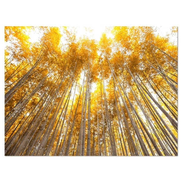 Autumn Bamboo Grove in Yellow Oversized Forest Glossy
